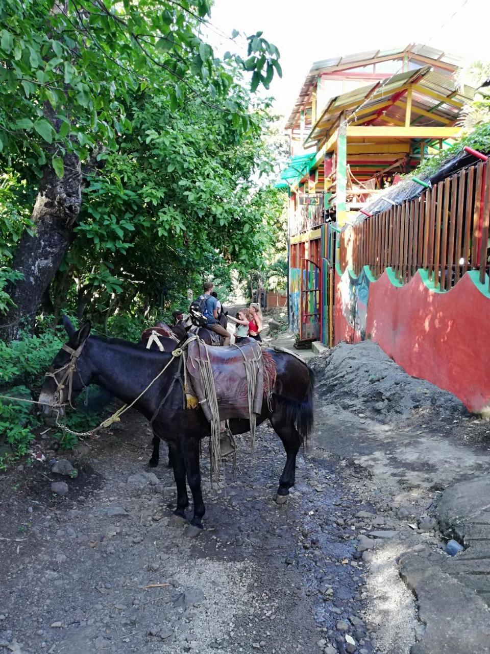 Lazy Crab Hostel Бальге Экстерьер фото